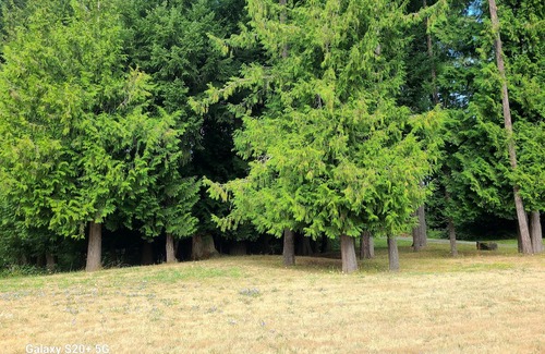 Regional District of Nanaimo Alquiler De RV | Windrush Country Estate nRV Site 1 nNo services - self contained