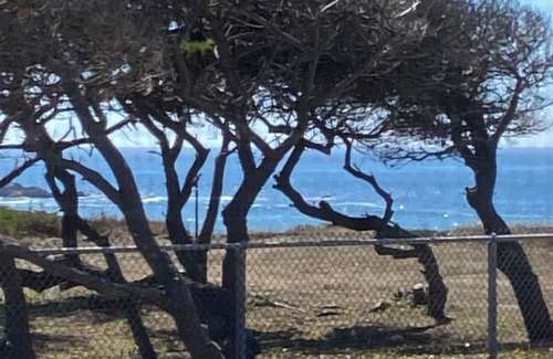 Nesika Beach Casa | Ocean front 2 bedroom house with WiFi in Gold Beach monthly rental