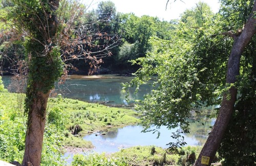 Swinging Bridge Village Cabina | Little Red River Cedar Cabin