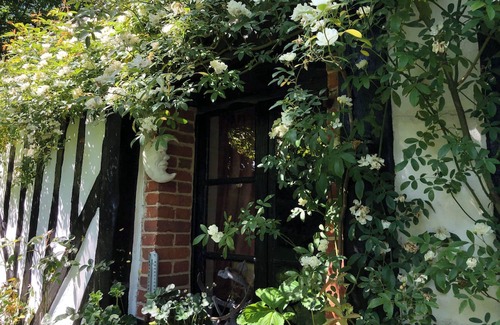 La Croupte Cabaña | serene peace in the middle of the forest