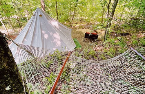 Shinglehouse Alquiler De RV | Glamping Tent in Port Allegany