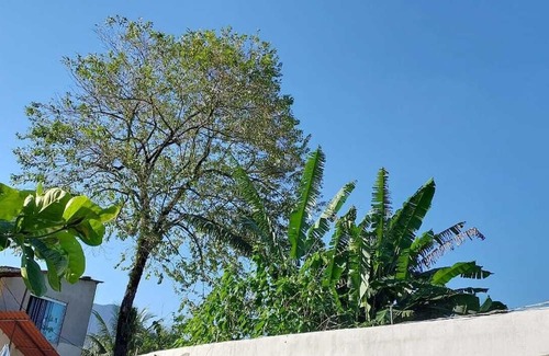 Sertao da Quina Cabaña | Quarto Para Grupo até 4 Pessoas Praia da Maranduba Ubatuba Sp