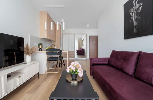 Lodz Apartamento | Wodna Apartment Łodź by Renters