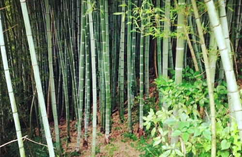 Kibichuo Casa | Weekdays only Private rental of a traditional Ja / Kagagun Okayama