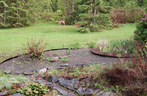 Salmon Arm Cabina | Glow, a canvas cottage with lake views and lake access. Glamping at its finest.