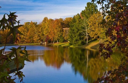 Fairfield Glade Complejo | Luxury one bedroom and one bathroom unit with full amenities