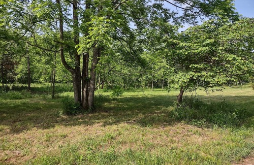 Macomb Alquiler De RV | RV sites with river access.