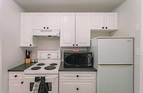Harrison Hot Springs Condominio | Renovated Contemporary Studio in Harrison Springs
