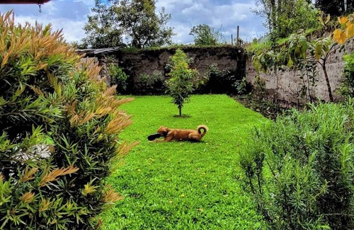 San Pablo del Lago Cabaña | Refugio Cumandá - Country house
