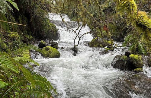 Tillamook Cabina | Private waterfall, 3 acres of forest, 400ft of Wilson River, with music & coffee