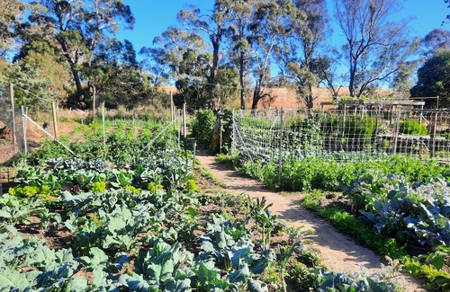 Metcalfe Casa | Unwind in a cosy bungalow in the midst of our organic permaculture mini-farm.