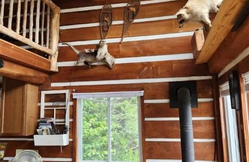 Clarington Cabina | The Dreamers Cabin at Dare2Dream Farm