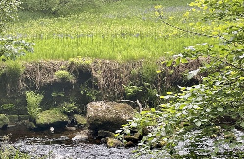 Wadsworth Cabaña | Cosy Hebden Bridge cottage with amazing views