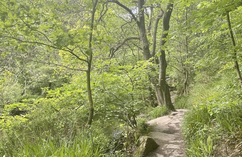 Wadsworth Cabaña | Cosy Hebden Bridge cottage with amazing views