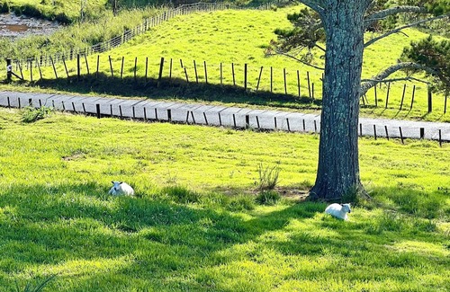 Waitakere Otro | Rural paradise 30 mins from city