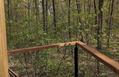 West Lincoln Cabina | Modern Cabin in the Woods