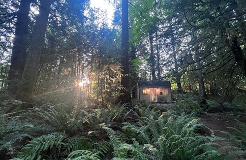 Snohomish Cabina | The Hideaway Cabin