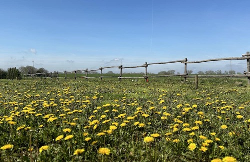Francolino Cama Y Desayuno | Casaforte La Bastide, Dimora Storica Luxury a Ferrara