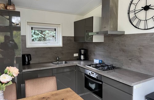 Dordtse Biesbosch Casa | L-Pavilion 6 by Interhome