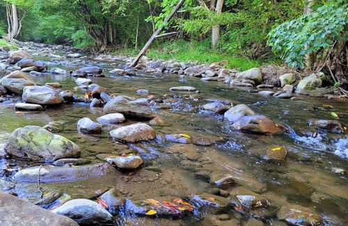 Del Rio Cabina | Enjoy Mother Nature and Spring at The Spot!