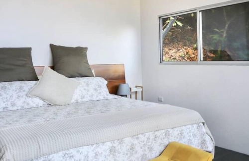 Parrita Casa | Experience nature,amidst nearly 900 tropical cacao trees!