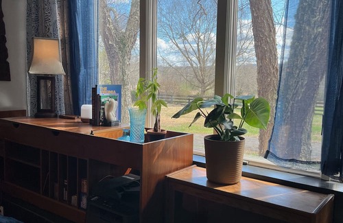 Charlottesville Cabaña | Wine Country Cottage in charming Charlottesville / Ivy VA - WiFi AC Pets Welcome