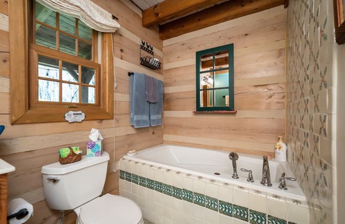 Brevard Cabina | Peaceful, cozy, & private cabin w/ streams, waterfalls, & Wi-Fi! Pets OK!