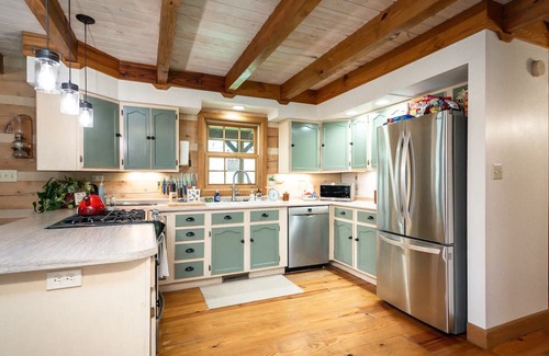 Brevard Cabina | Peaceful, cozy, & private cabin w/ streams, waterfalls, & Wi-Fi! Pets OK!