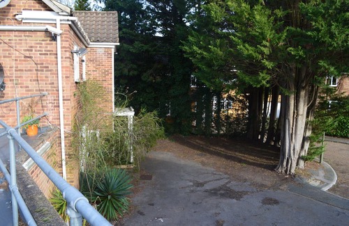 Weybridge Casa | Weybridge shared house in very upmarket area where celebs live.