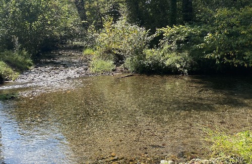 Norman Cabaña | Beautiful property on the Caddo River. Fishing or floating is steps away.