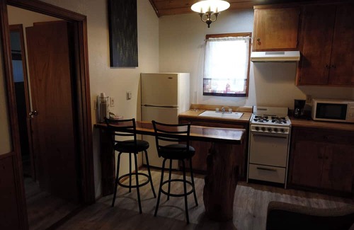 Crestline Apartamento | Grey Squirrel in Crestline Mountains