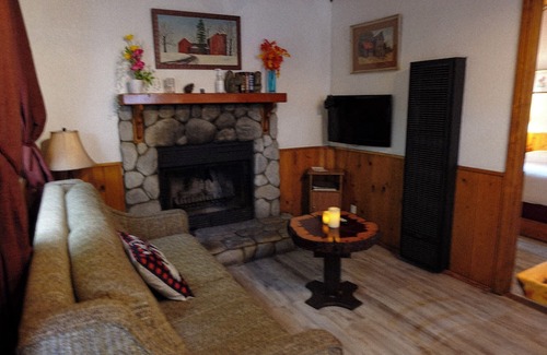 Crestline Apartamento | Grey Squirrel in Crestline Mountains