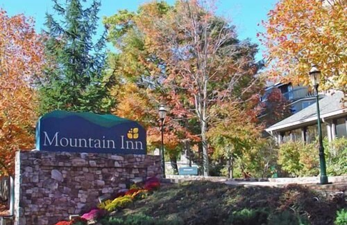 Wintergreen Condominio | Mountain Inn Studio 97 with Wintergreen Advantage