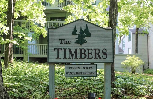 Wintergreen Condominio | Timbers Studio 45 with Wintergreen Advantage