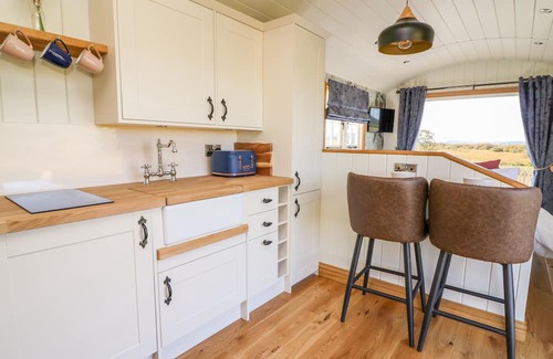 Pontrhydfendigaid Cabaña | CWT Y GORS, pet friendly, with hot tub in Pontrhydfendigaid