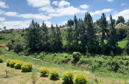 Manzini Cabina | The Rest Camp Lodge