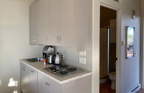 Okanagan-Similkameen Apartamento | Cozy guesthouse with Osoyoos Lake view!
