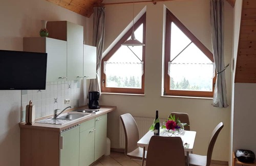 Oberwiesenthal Apartamento | Holiday apartment Silke Eibisch