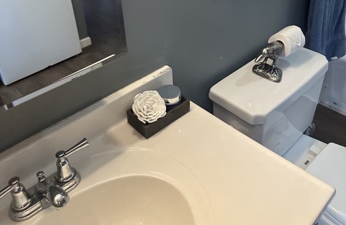 Carnegie Apartamento | The birds and the bee’s Wi-Fi , cozy, allows pets