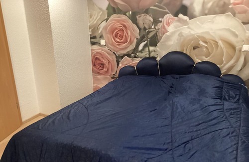 Themar Apartamento | Apartment 'Ferienwohnung An Der Werra'