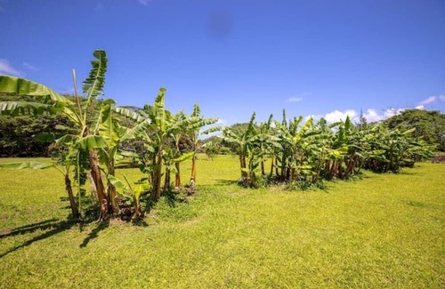 Punaluu Cabina | Majestic Paradise Cabin