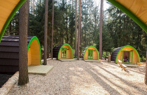 Pleinfeld Cabina | Tinyhaus mit Dachterrasse - Waldcamping Brombach