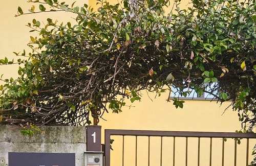Bergamo Apartamento | Vrbo Property