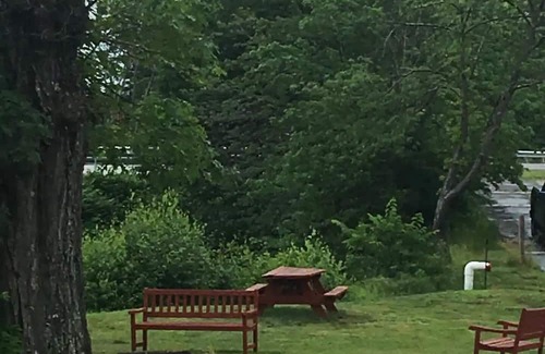 Lochmere Cabina | 1 BR Cabin with Dock and Shared Beach