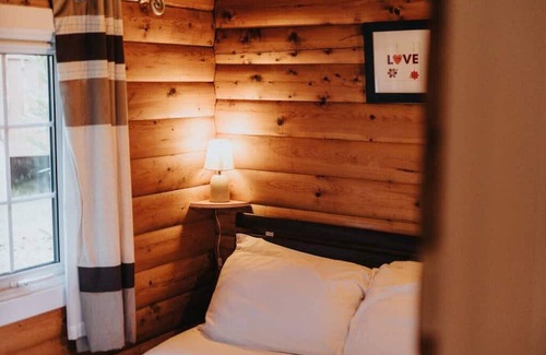 Bronaber Cabina | Stunning 2 Bed Log Cabin: Snowdonia Coed y Brenin