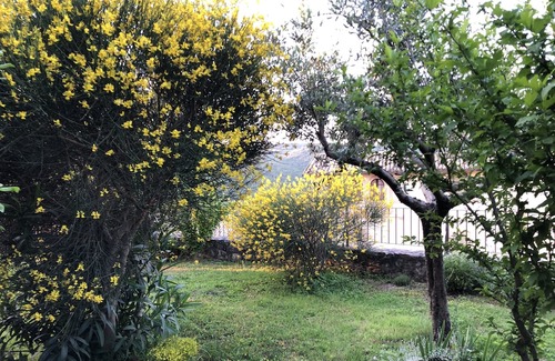 Giano dell'Umbria Casa | Giano dell’Umbria - Privacy e silenzio