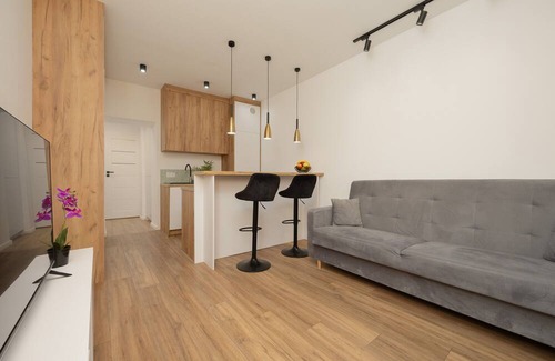 Baluty Apartamento | Apartment Majzela Łódź by Renters