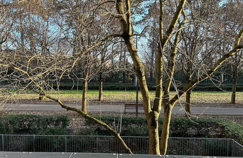 6th Arrondissement Apartamento | Appartement 85m2 vue sur le Parc de la Tête D'or