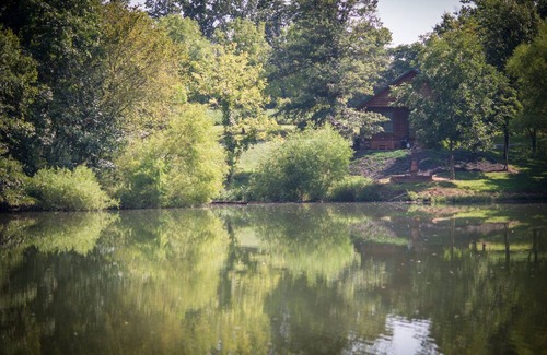 Carbondale Cabina | Hot Tub Cabin- In the Heart of Shawnee Wine Trail
