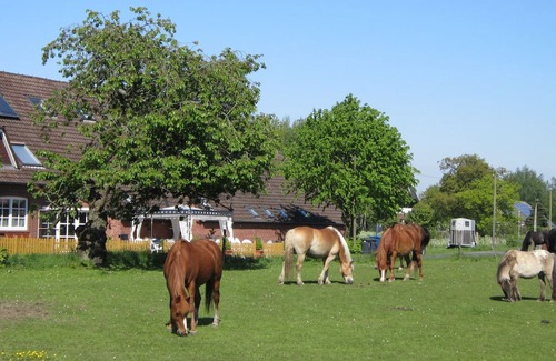 Holtgast Apartamento | Wohnung 4 auf dem Ferienhof Eilts -viele Ponys und Sonstige Tiere in Nordseenähe